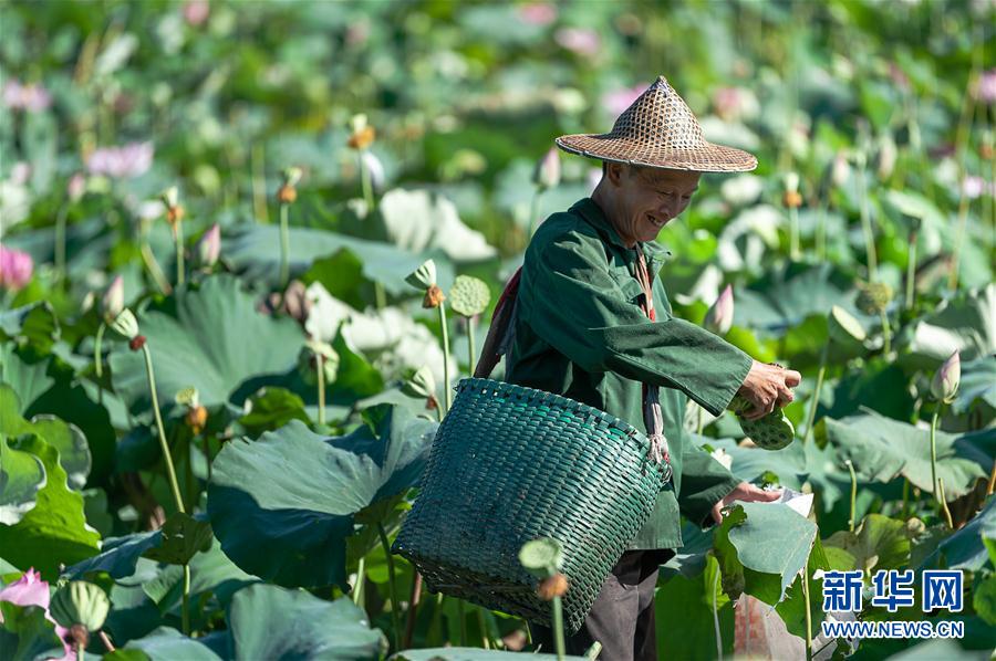 1126320507_15964585245341n.jpg 1126320507_15964585245341n.jpg