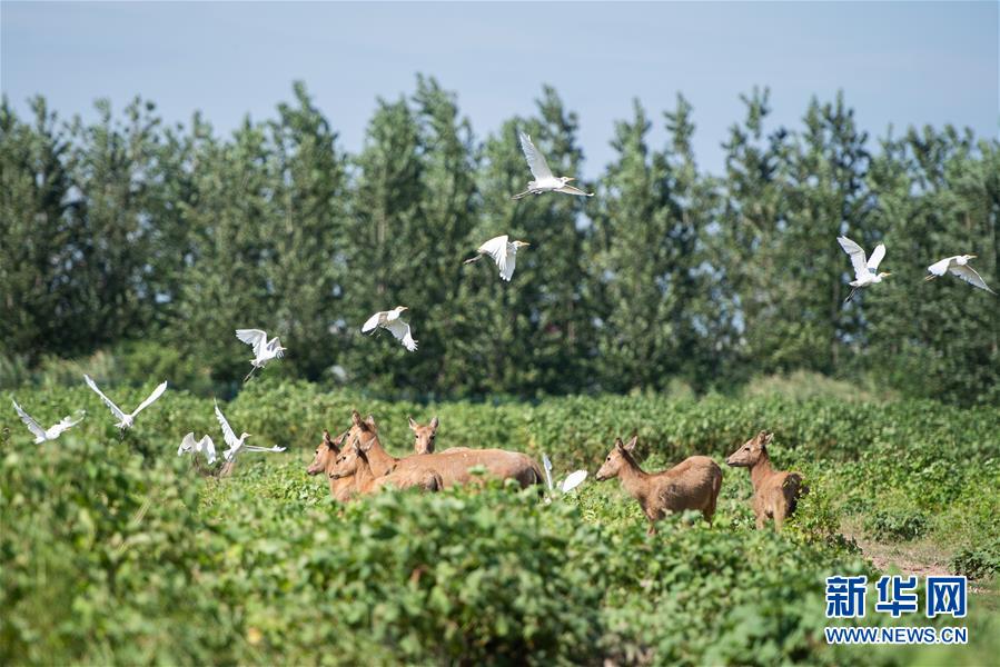 1126340427_15968004666381n.jpg 1126340427_15968004666381n.jpg